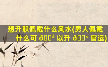 想升职佩戴什么风水(男人佩戴什么可 🌲 以升 💮 官运)